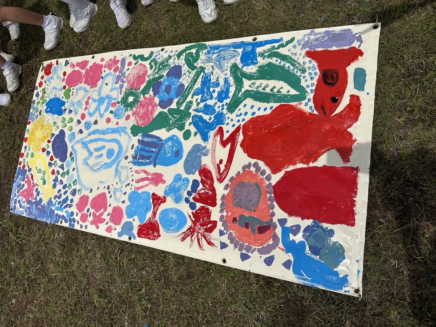 S__25002122_0 (1)